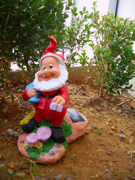 SC005 Solar Power Christmas Lighting